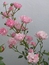 User post image