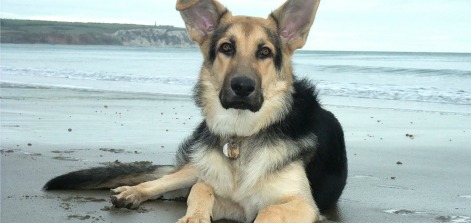 Lead photo