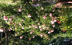User post image