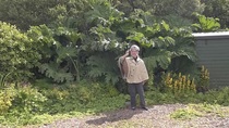 User post image