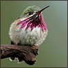 User post image