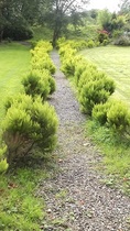 User post image