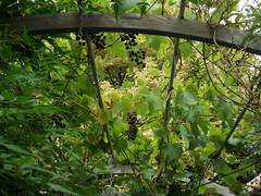 User post image