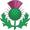 User post image