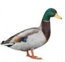 User post image