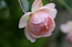User post image