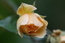 User post image