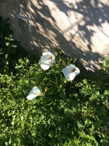 User post image