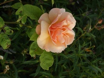 User post image