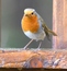 User post image