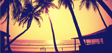 Lead photo