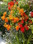 User post image