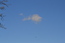 User post image