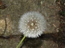 User post image