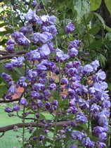 User post image