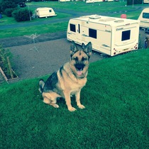User post image