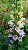 User post image