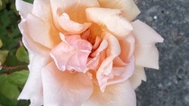 User post image