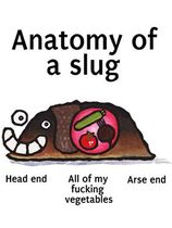User post image