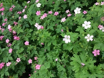 User post image