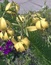 User post image