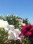 User post image
