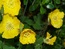 User post image