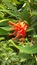 User post image