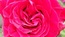 User post image