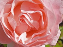 User post image