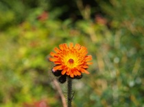 User post image