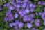 User post image