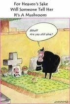 User post image