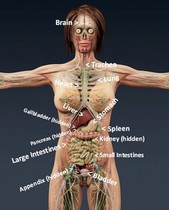 User post image