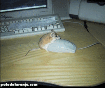 User post image