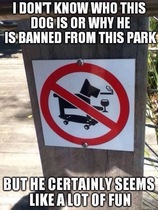 User post image