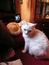 User post image