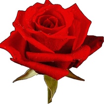 User post image