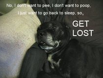 User post image