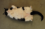 User post image