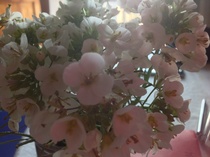 User post image