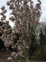 User post image