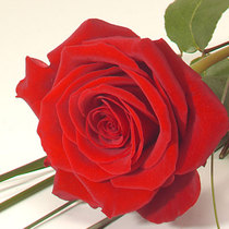 User post image