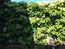 User post image