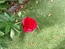 User post image