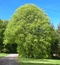User post image