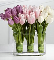 User post image