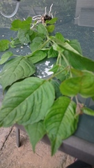 User post image