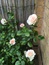 User post image
