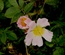 User post image